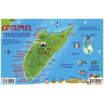 Cozumel Map & Fish ID Card