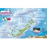 Bermuda Map & Fish ID Card