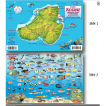 Kosrae Map & Fish ID Card