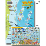 Belize Atolls Map & Fish ID Card