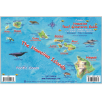 Hawaiian Map & Fish ID Card
