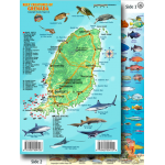 Grenada Map & Fish ID Card