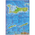 Cayman Island Folding Guide & Dive Map