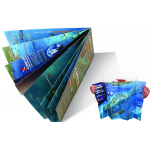 Florida Keys Folding 3D Dive Map