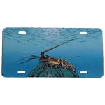 Florida Lobster License Plate - Metal