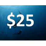 $25 Gift Card (plastic card)