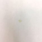 O-Ring, QD Adapter (HP Seal)