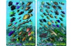 FLORIDA AND CARIBBEAN - 3D FISH CARD