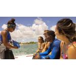 Divemaster registration fee