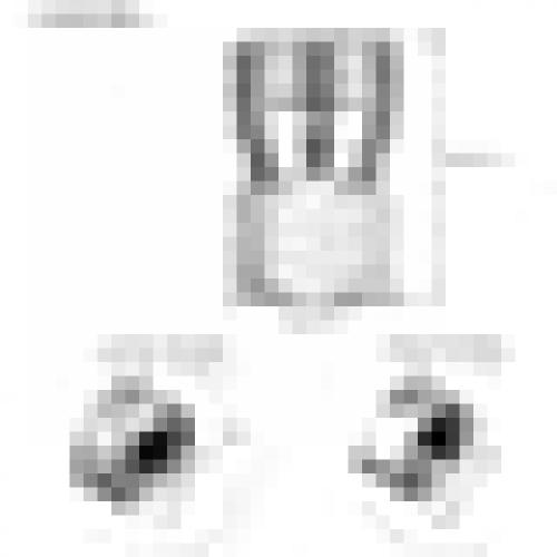 TRIDENT PAINTBALL Q/D FILL ADP FEMALE