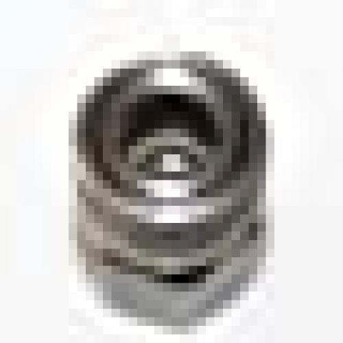 TRIDENT PAINTBALL Q/D FILL ADP FEMALE