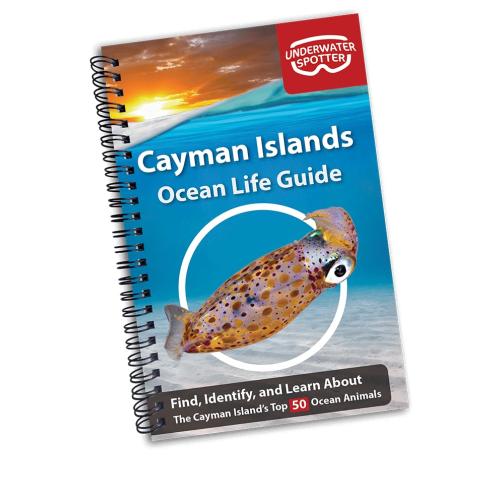 CAYMAN ISLANDS OCEAN LIFE GUIDE