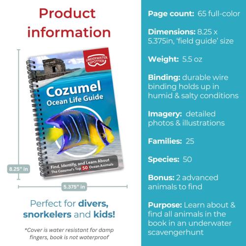 COZUMEL OCEAN LIFE GUIDE
