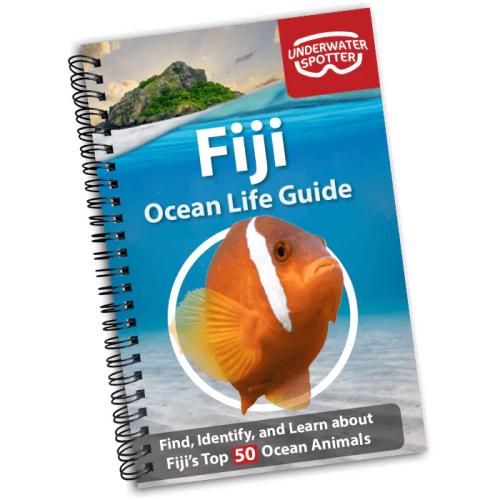 FIJI OCEAN LIFE GUIDE