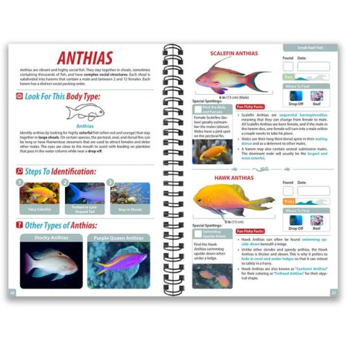 FIJI OCEAN LIFE GUIDE