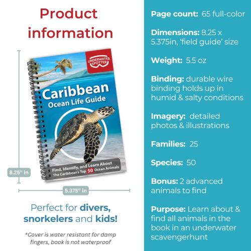 CARIBBEAN OCEAN LIFE GUIDE