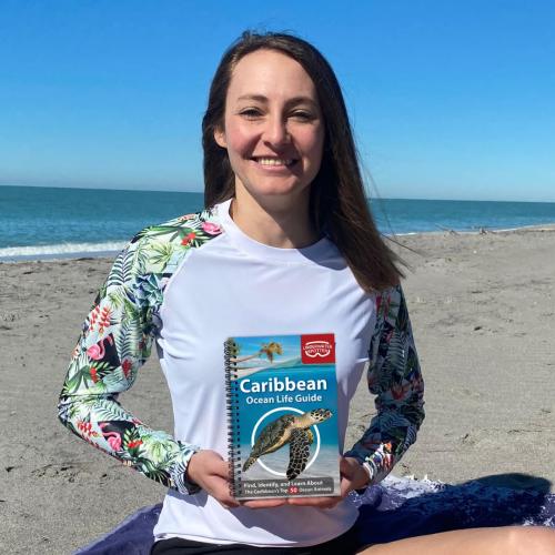 CARIBBEAN OCEAN LIFE GUIDE