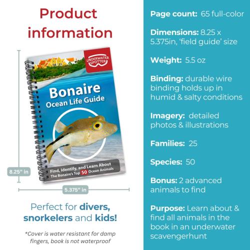 BONAIRE OCEAN LIFE GUIDE