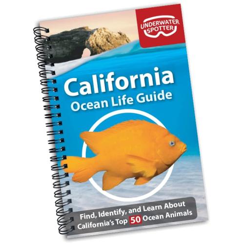 CALIFORNIA OCEAN LIFE GUIDE