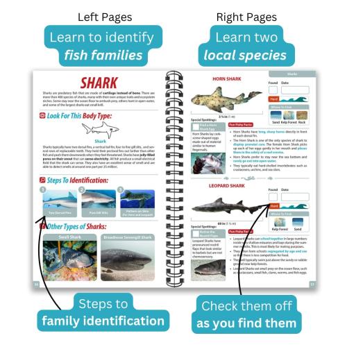 CALIFORNIA OCEAN LIFE GUIDE