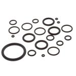 O-RING KIT (20 PIECE)
