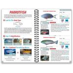 CAYMAN ISLANDS OCEAN LIFE GUIDE