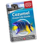 COZUMEL OCEAN LIFE GUIDE