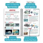 COZUMEL OCEAN LIFE GUIDE