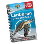 CARIBBEAN OCEAN LIFE GUIDE