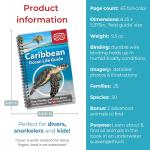 CARIBBEAN OCEAN LIFE GUIDE
