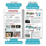 BONAIRE OCEAN LIFE GUIDE