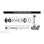 OTS GUARDIAN COVER, REGULATOR PURGE