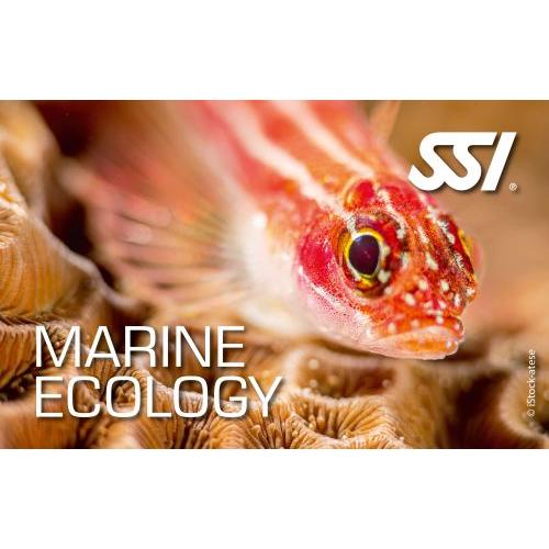 SSI Marine Ecology
