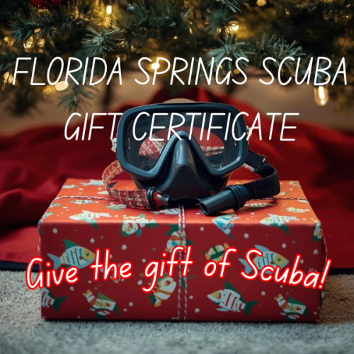 Gift Certificate