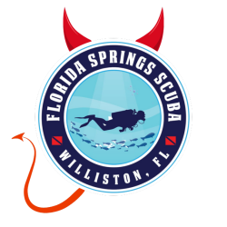 STICKER 4 inch FSS Devil Sticker