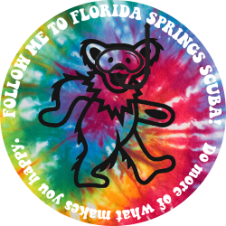 STICKER Dancing Scuba Bear Florida Springs Scuba