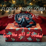Gift Certificate
