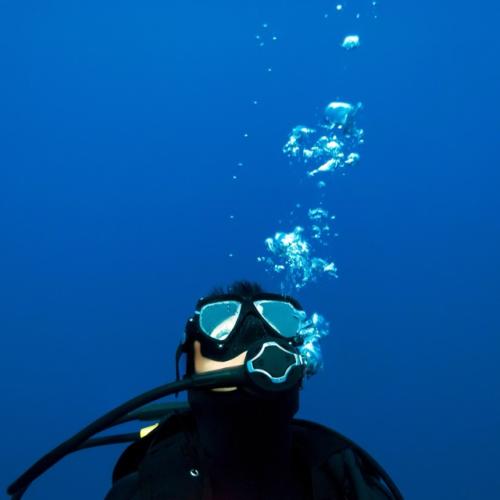 Club Aquarius — Frequent Diver Membership