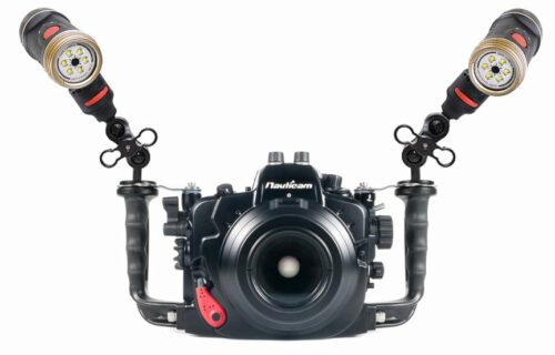 BALL JOIN ADAP SEA DRAGON