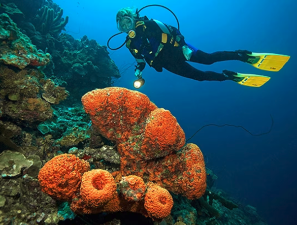 Bonaire 07102027