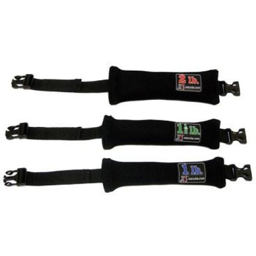 2 pound Ankle Weight