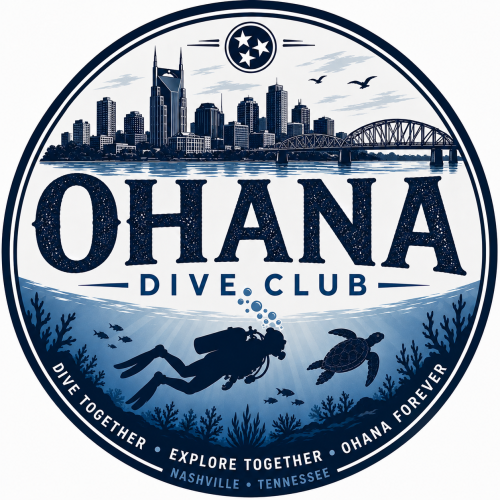 Dive Club