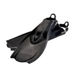 F-1 Fin REG