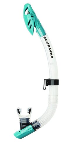 Spectra Dry - Clear/Turquoise