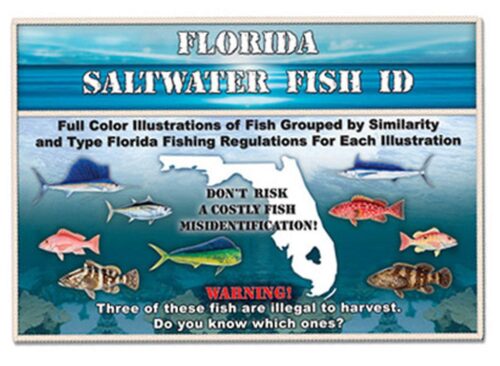 FLORIDA SALTWATER FISH ID BOOK