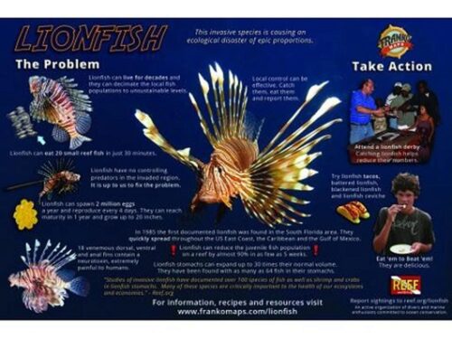 LIONFISH INFESTATION FISH CARD