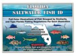 FLORIDA SALTWATER FISH ID BOOK