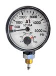 Pressure Gauge Module/BAR