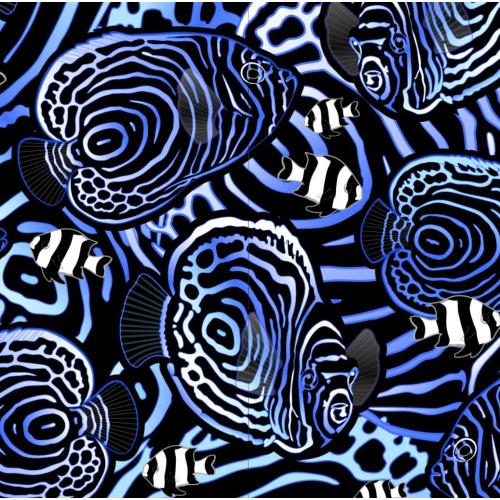 WOMENS ZIP RASH GUARDS ANGELFISH HYPNOSIS SM