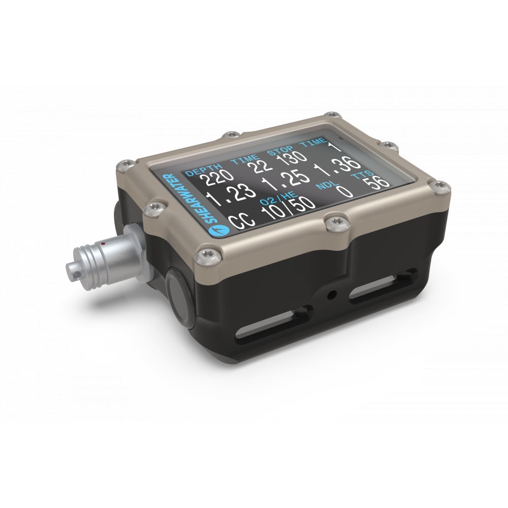 Shearwater Petrel 2 Fischer